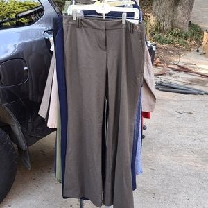 Ann Taylor loft pants